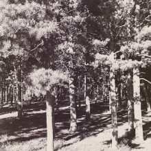 Окрестности Лагерного сада, г. Томск, 1950-1960-е, фото Г. Абрамочкина