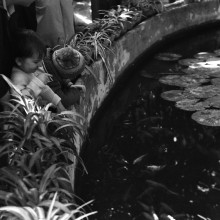 Сибирский ботанический сад, оранжерея, бассейн. 1980-й